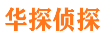 武川市调查公司